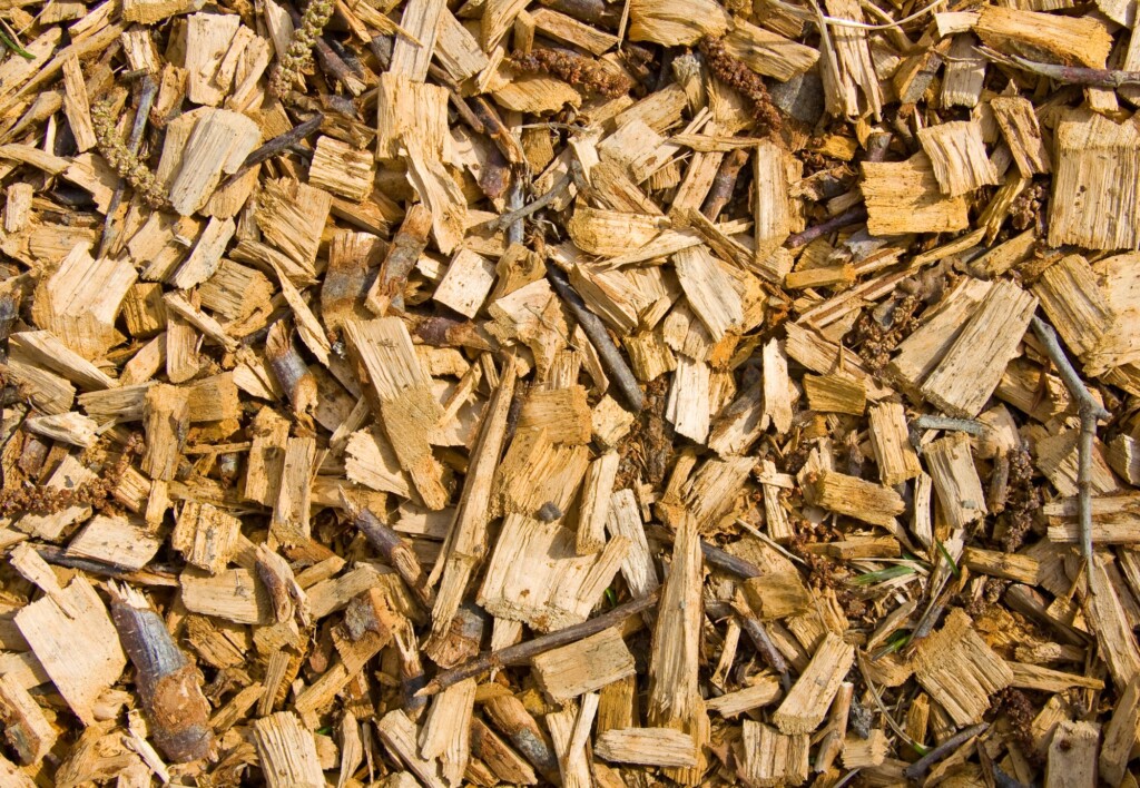 Paraná terá primeira cooperativa de geração distribuída a partir de biomassa lenhosa