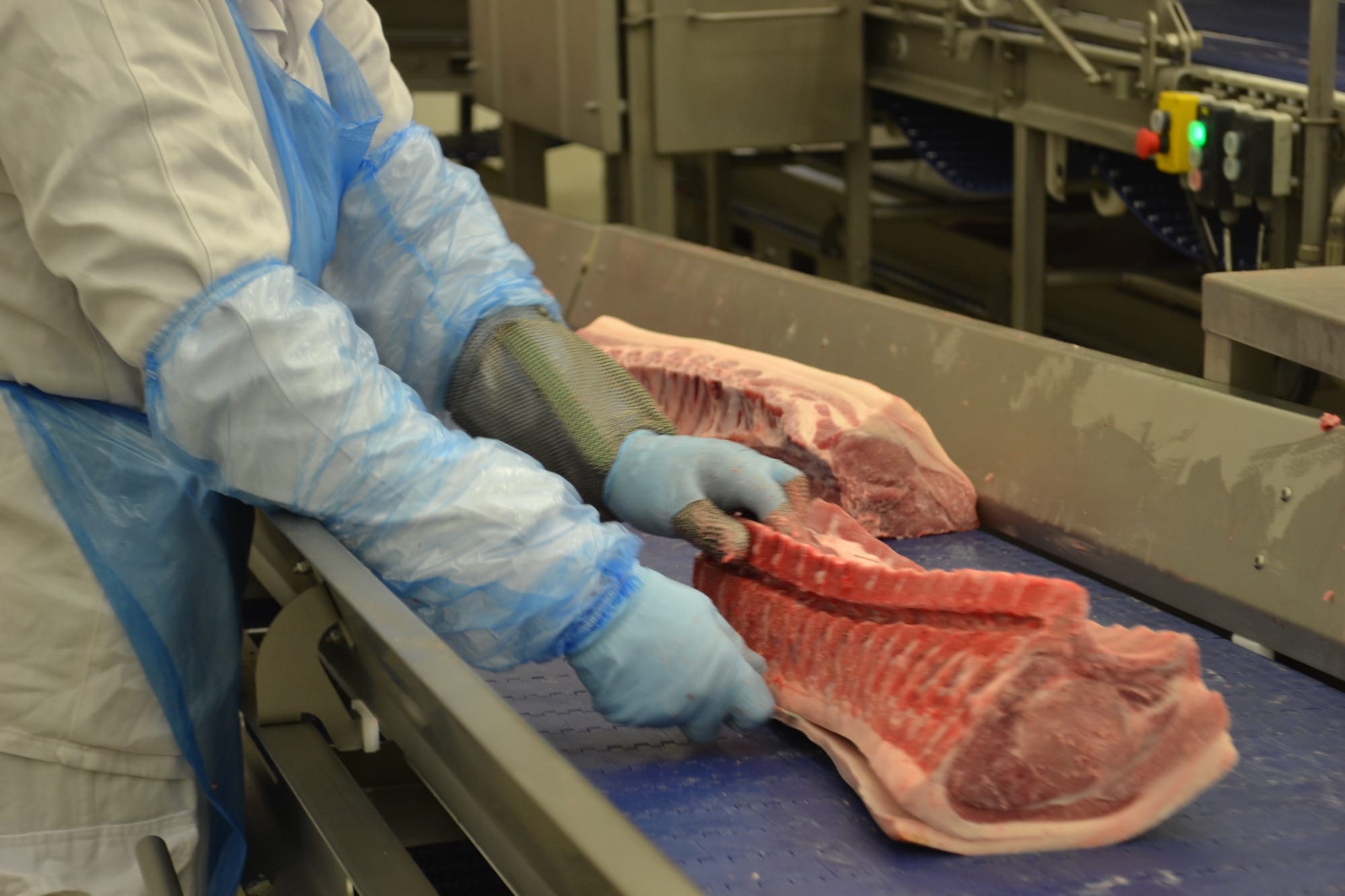 Exportações totais de carne suína alcançam 102,4 mil t em maio
