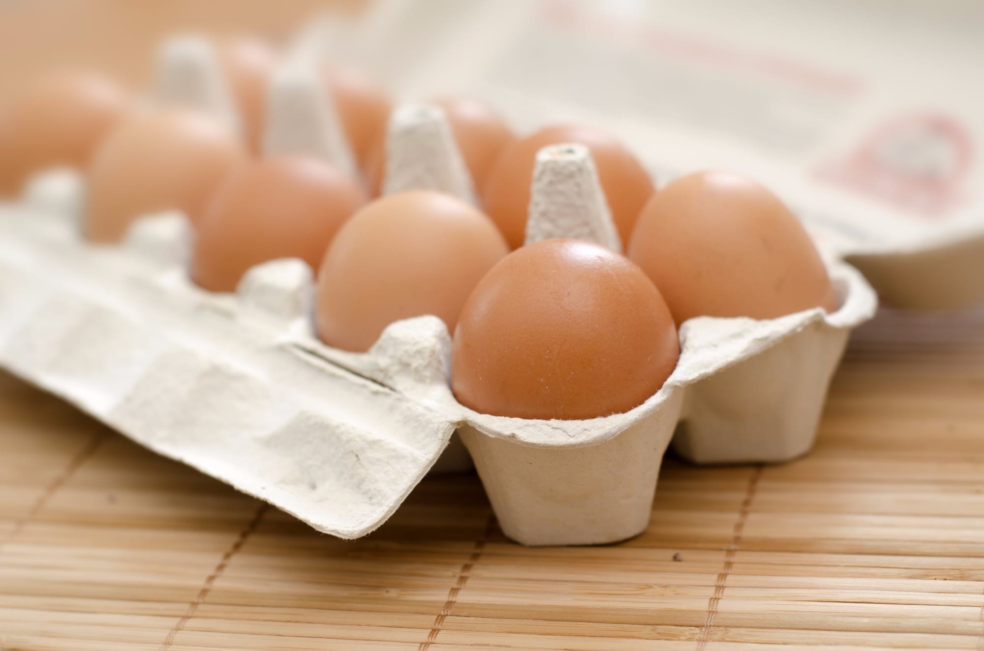 Mecanismos de invasão do ovo por Salmonella sp.