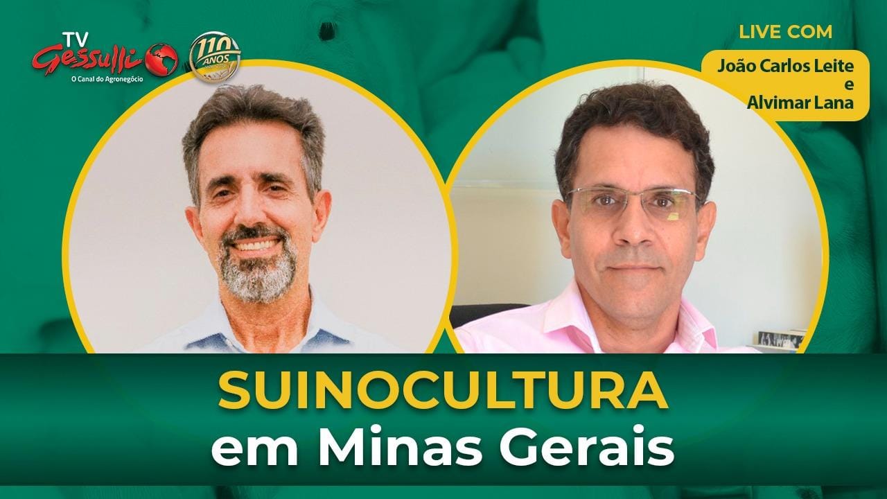 Panorama e mercado da suinocultura no estado de Minas Gerais, com ASEMG Panorama e mercado da suinocultura no estado de Minas Gerais, com ASEMG