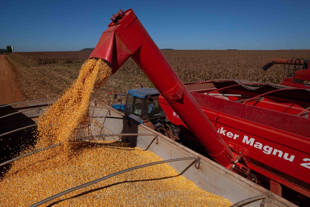 Lideranças do agro e produtores rurais levantam custos de produção em SC