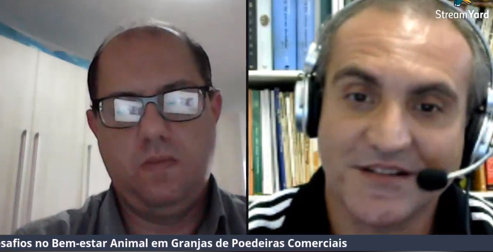 LIVE: Desafios no Bem-estar Animal em Granjas de Poedeiras Comerciais