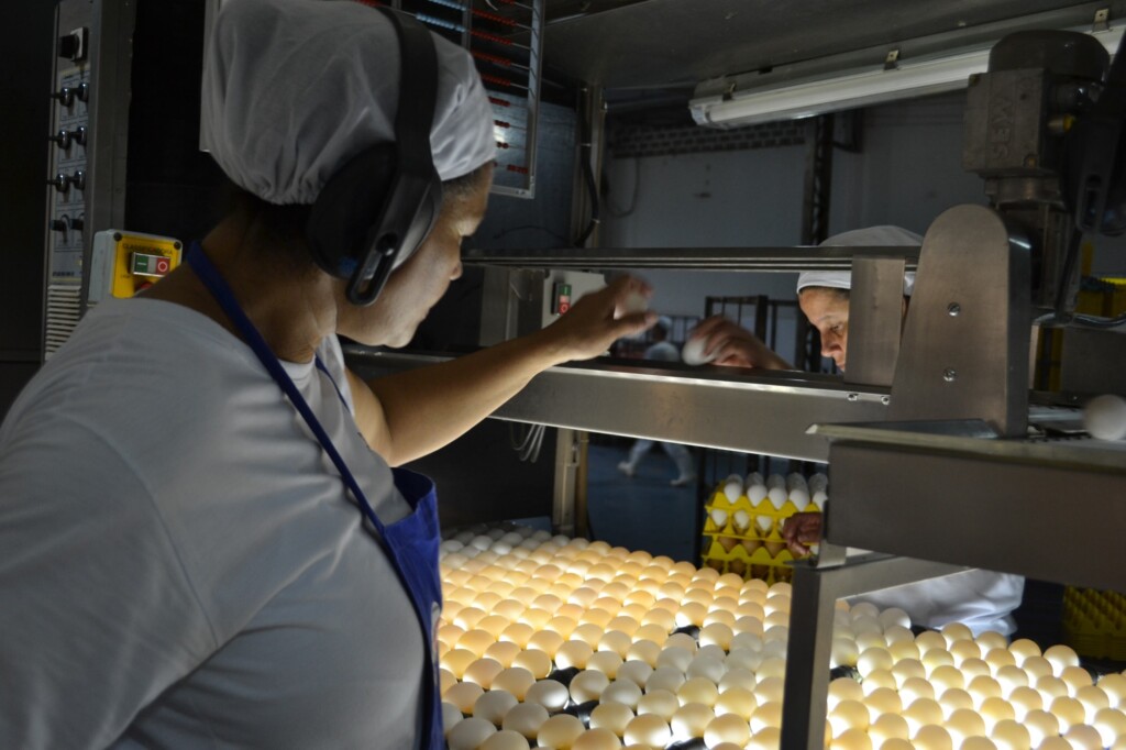 Inovação e novas tecnologias chegam aos sistemas de incubação