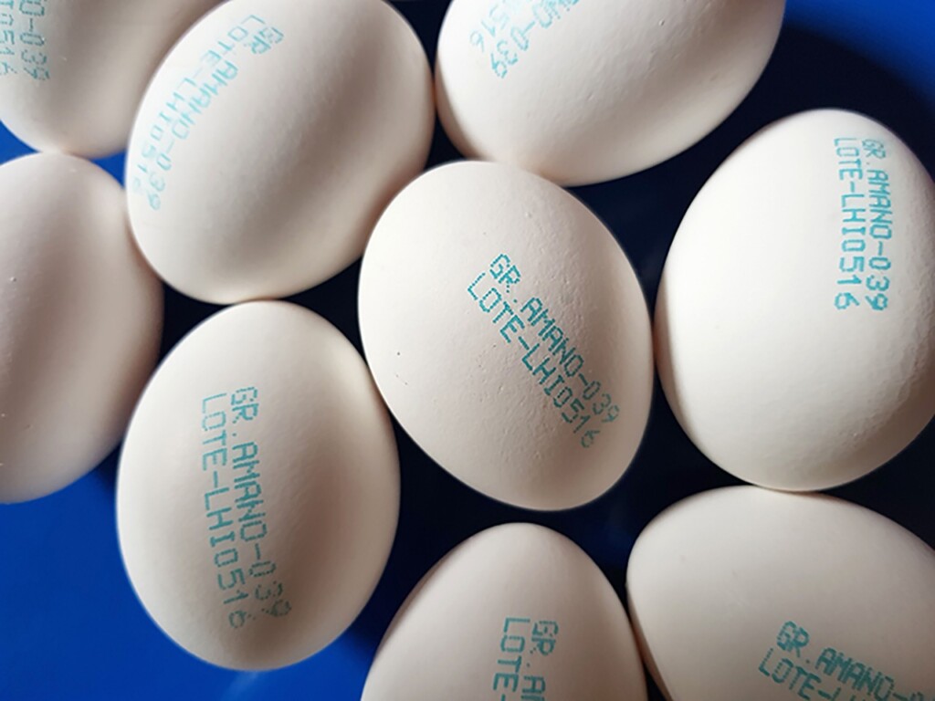 Ovoproduto ganha mercado no Brasil