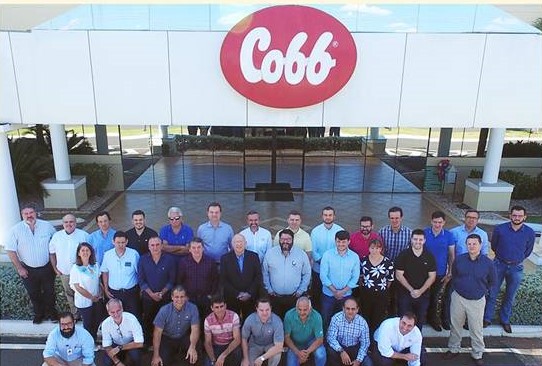 Cobb-Vantress promove encontro com produtores de pintos