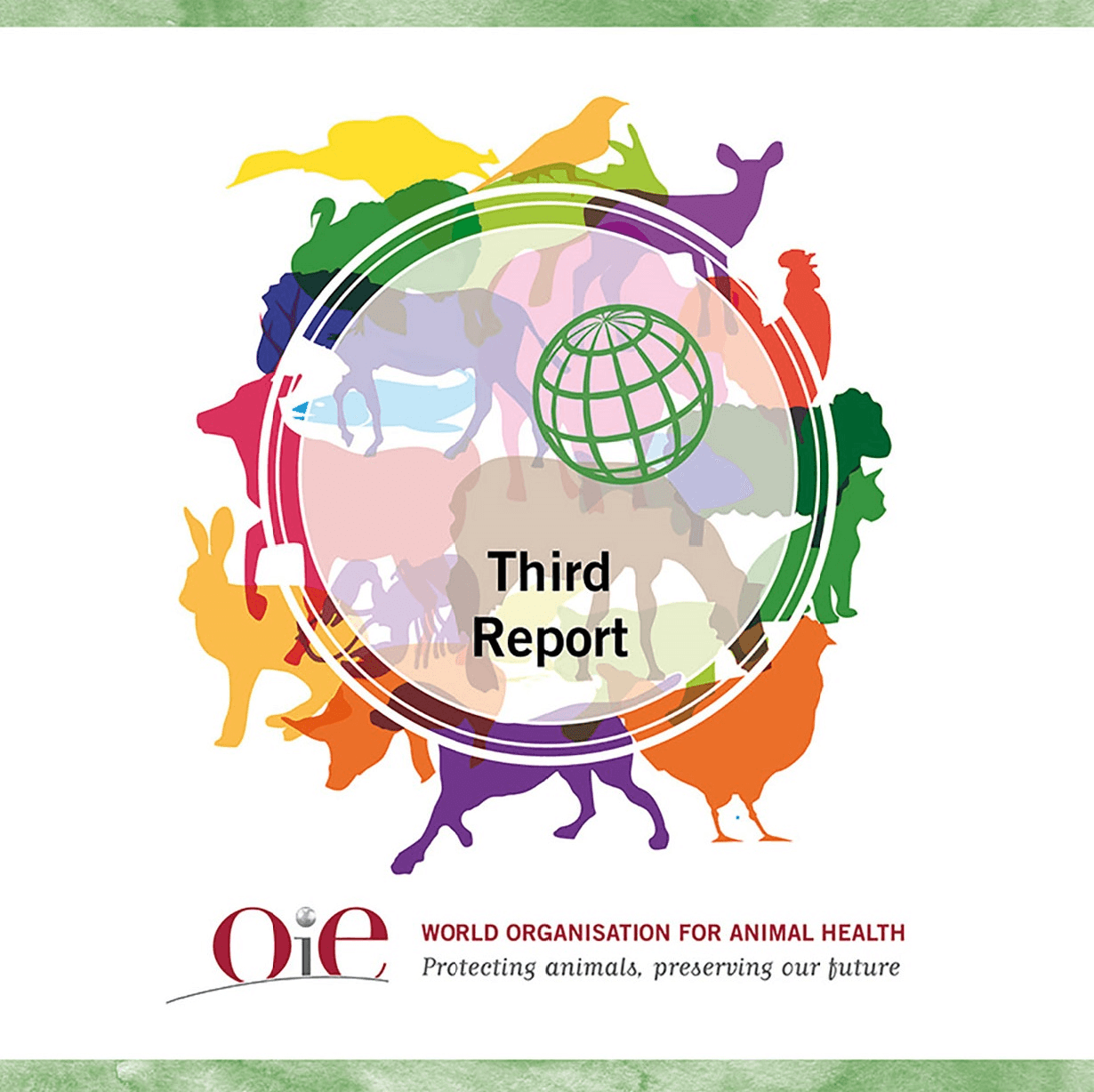 Relatório da OIE mostra progresso positivo na regulação e monitoramento do uso de antimicrobianos