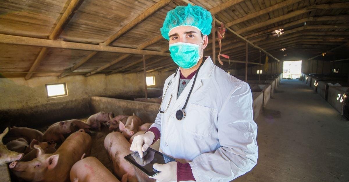 Médico veterinário receba os parabéns da Gessulli Agribusiness pelo seu dia