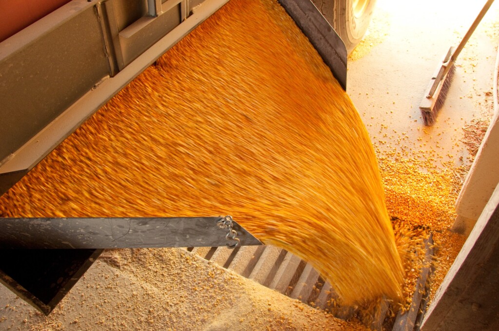 Embargo da UE afeta produção de ração e demanda por grãos