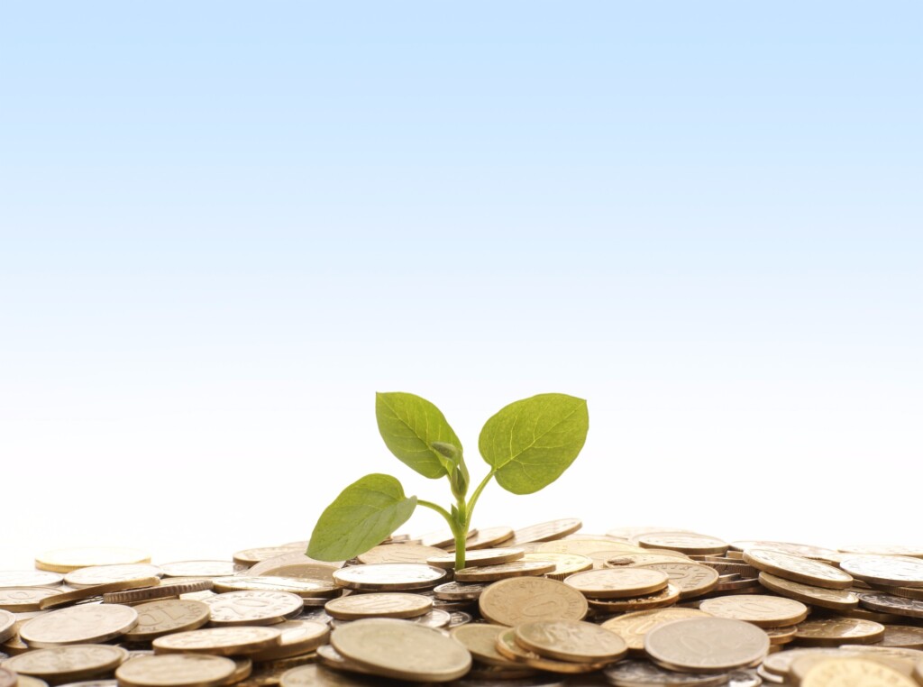 Diversificar: correto e sustentável – por Valter Bampi