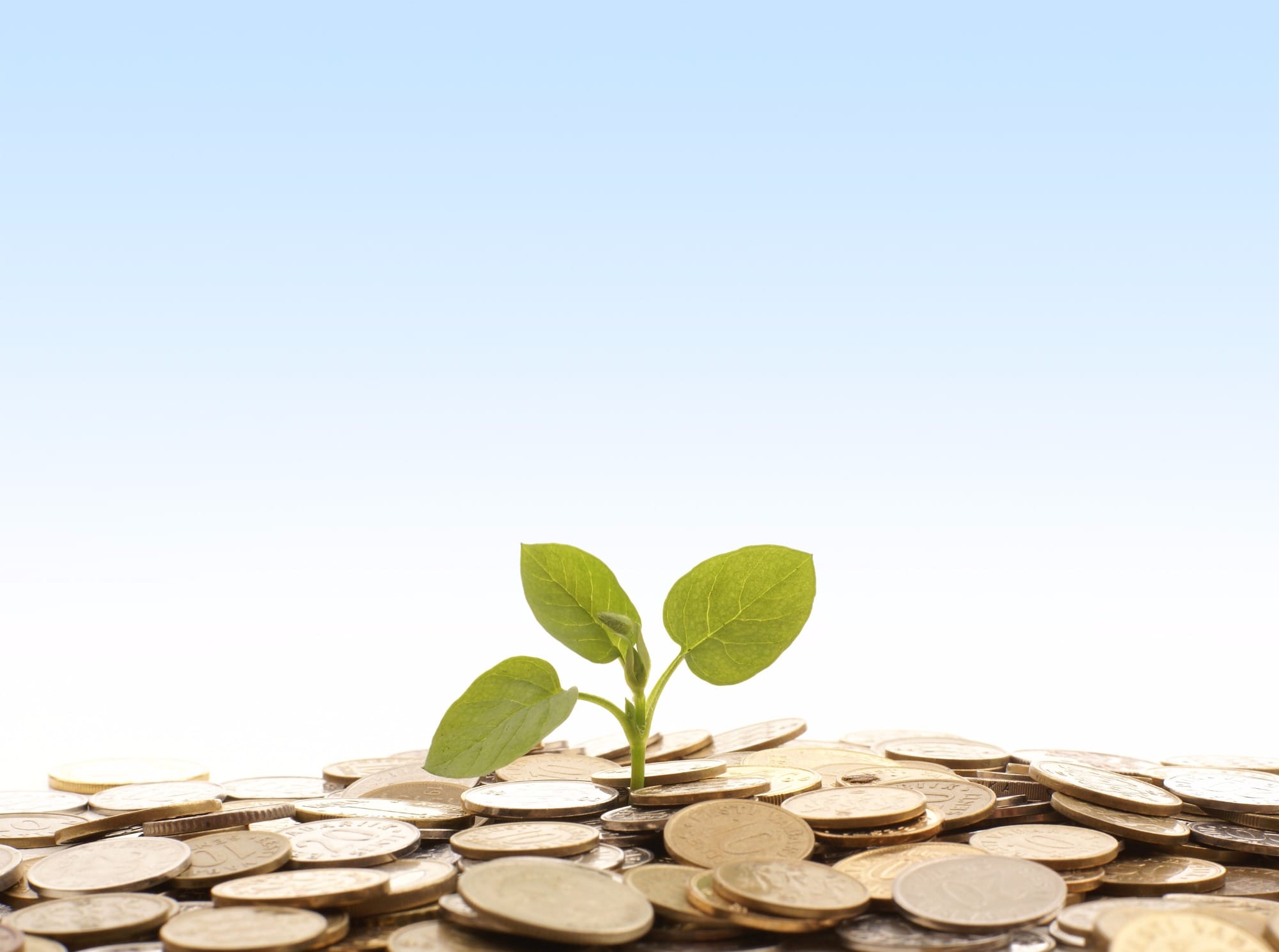 Plano agropecuário terá R$ 194,37 bilhões para financiar setores