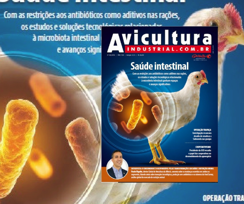 Saúde intestinal assume papel central na avicultura