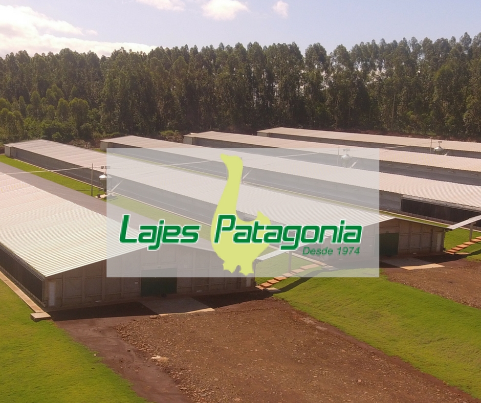 Lajes Patagonia projeta bons negócios durante a AveSui 2018