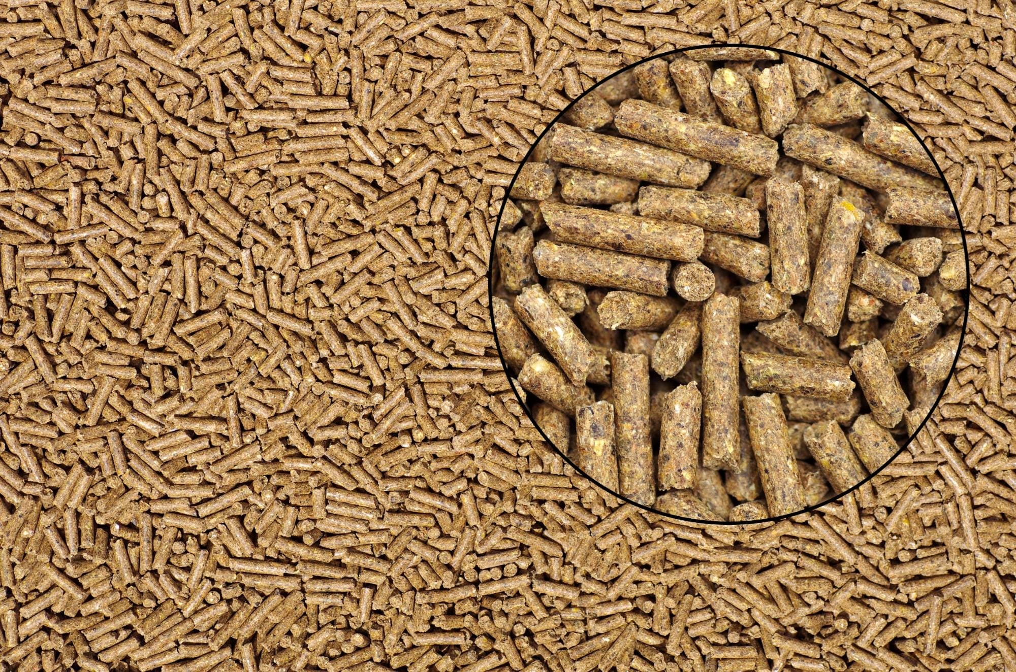 Sindirações aponta crescimento de 4% em 2021 no setor de alimentação animal