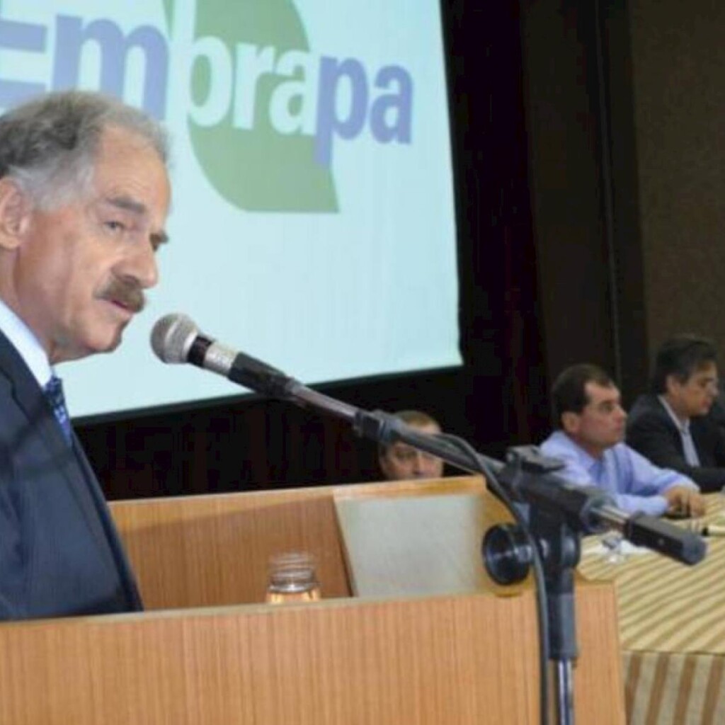 Conselho escolhe novo presidente da Embrapa