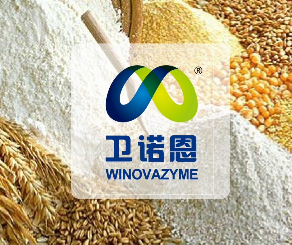 Winovazyme apresenta portfólio de enzimas para nutrição animal