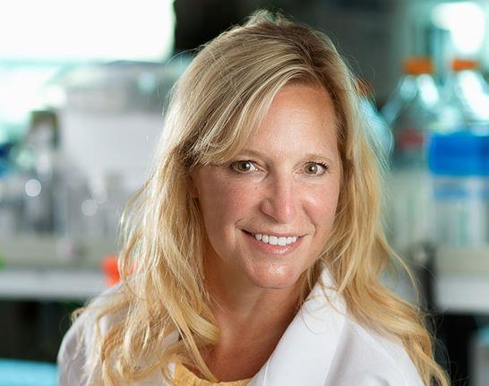 Influenza Aviária na América do Sul é tema de debate da Sociedade Brasileira de Virologia