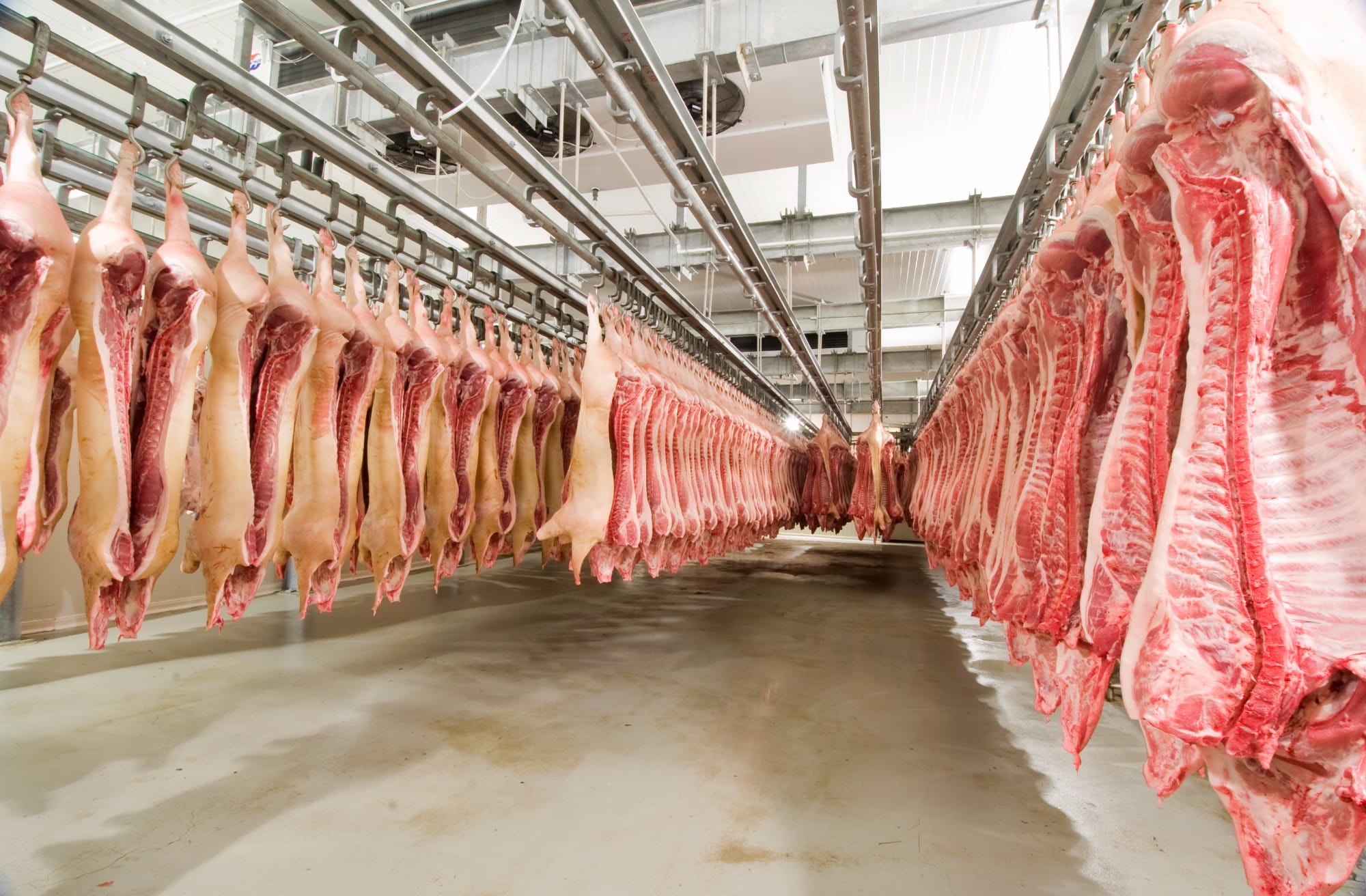Déficit de oferta de carne suína na China em 2020 deve ser de 20 a 24 milhões de toneladas
