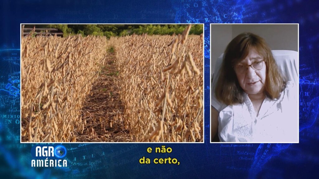 Relação mais próxima entre agricultores e cientistas favorecerá uma produção de alimentos maior