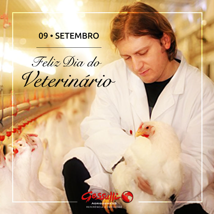 Médicos-veterinários estão presentes em todos os momentos da vida