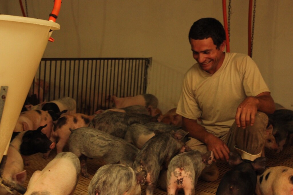 Controle de qualidade e fabricação própria de ração colocam suinocultor na vanguarda do mercado