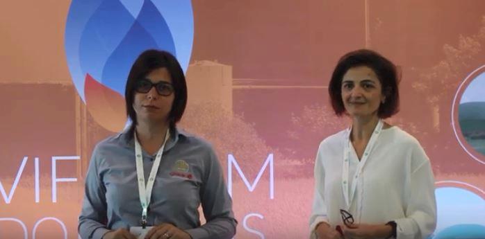 Integração do biogás com o setor elétrico