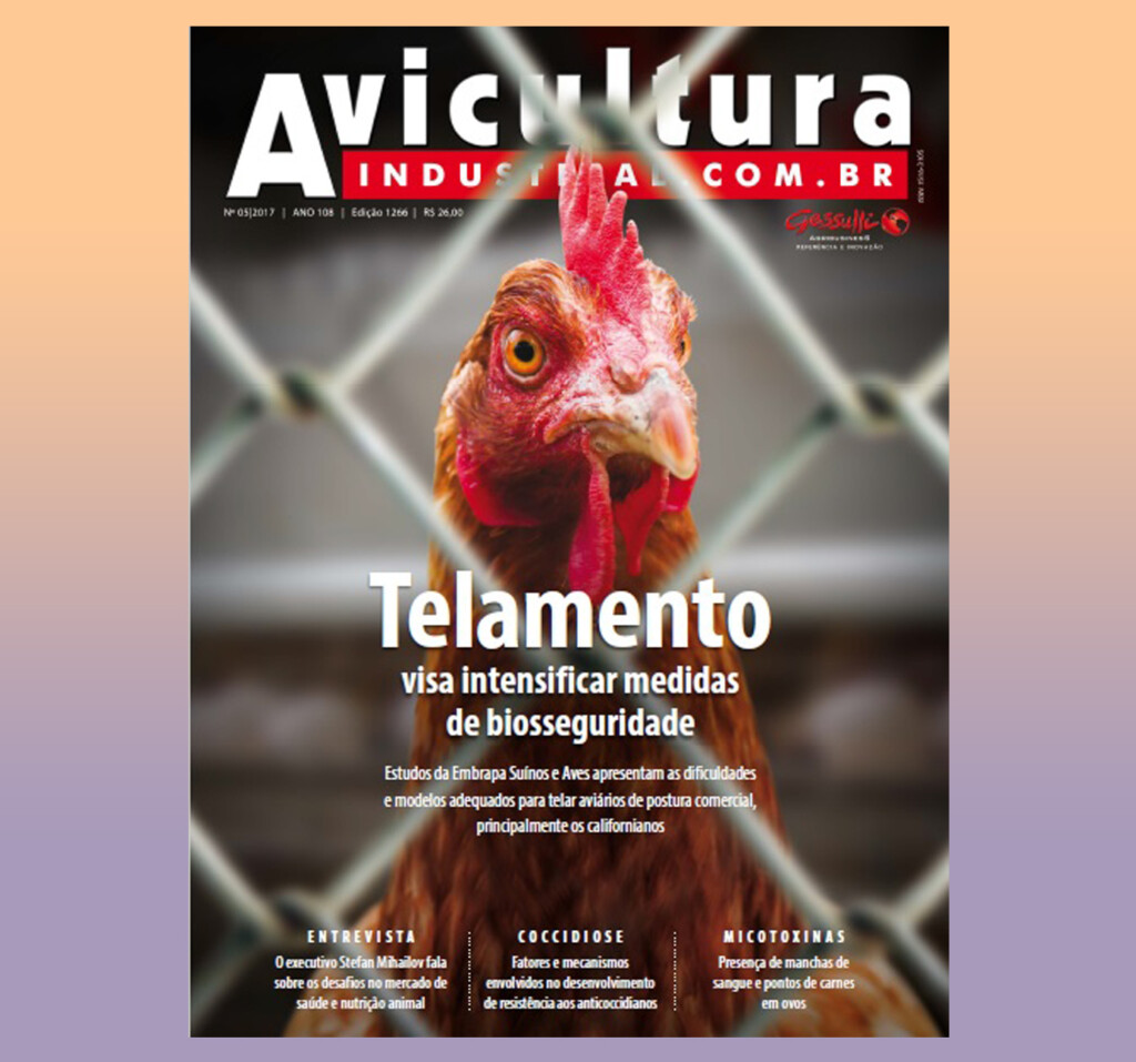 A obrigatoriedade do telamento