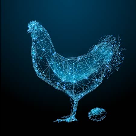 Alimentação animal incorpora o uso de aditivos de base natural como alternativa aos antimicrobianos