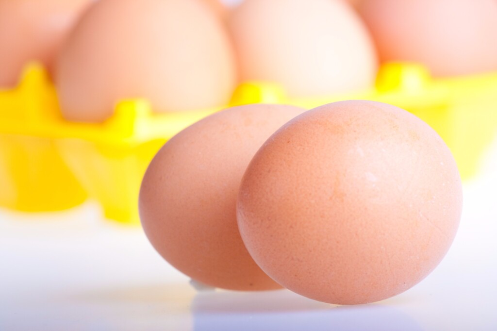Cotações dos ovos voltam a cair