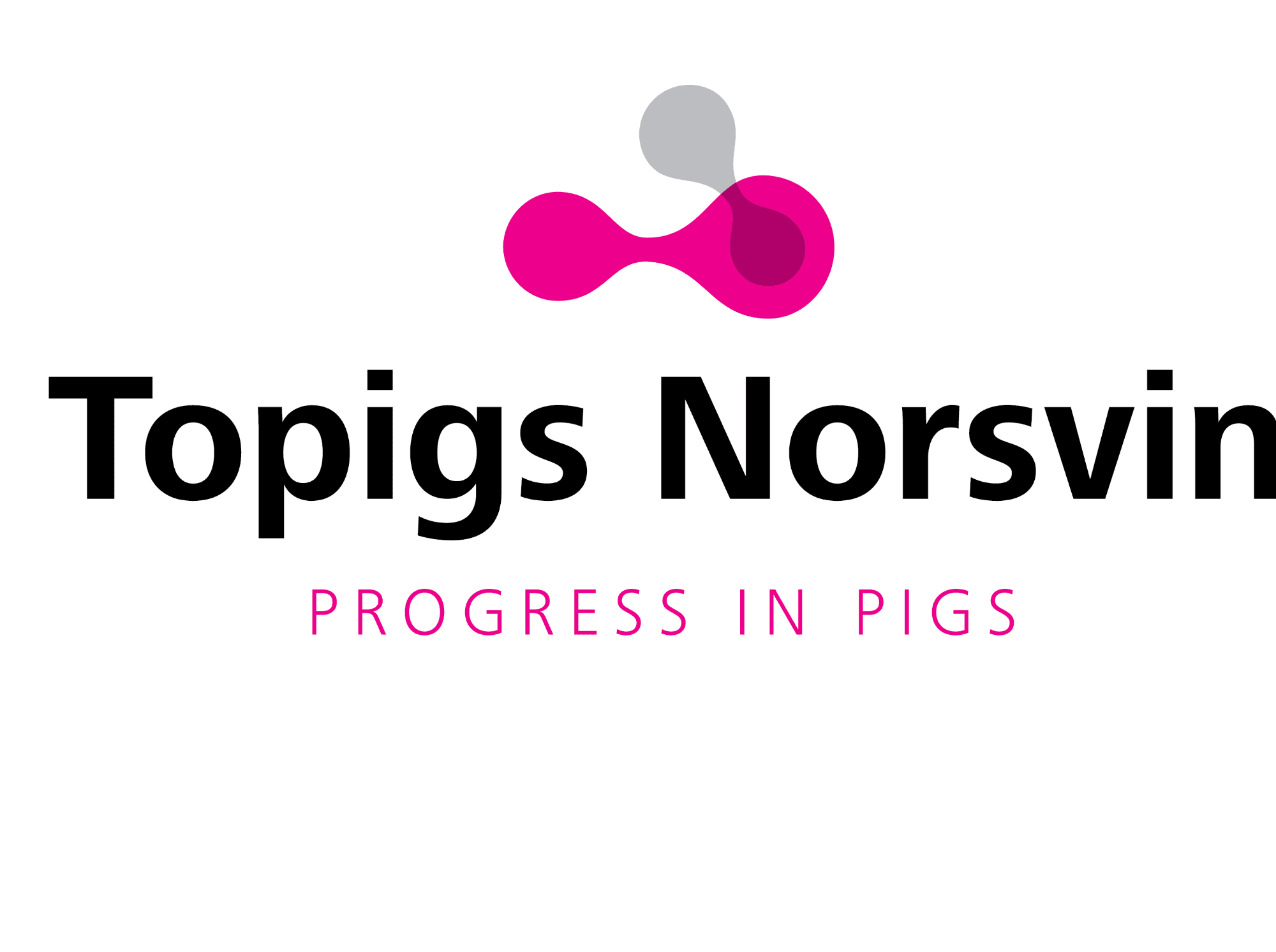 Topigs Norsvin faturou mais de R$ 200 milhões no Brasil em 2020