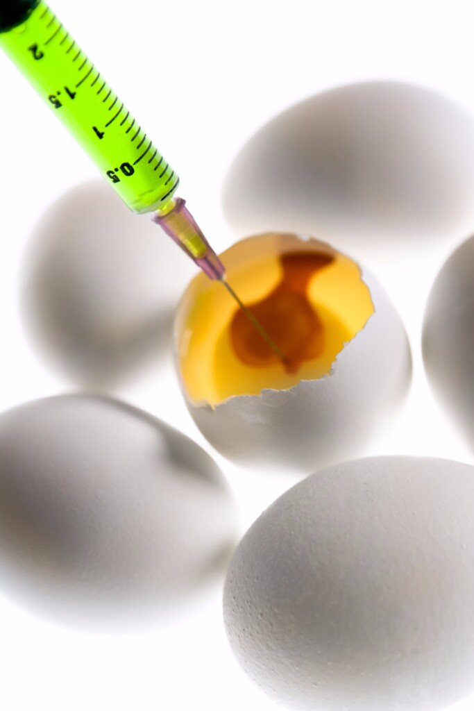 Ovos podem substituir ensaios com técnicas invasivas em mamíferos