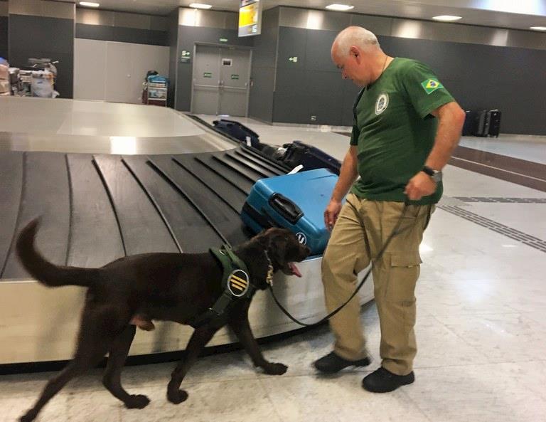 Mapa adota iniciativas para modernizar processos de inspeção internacional