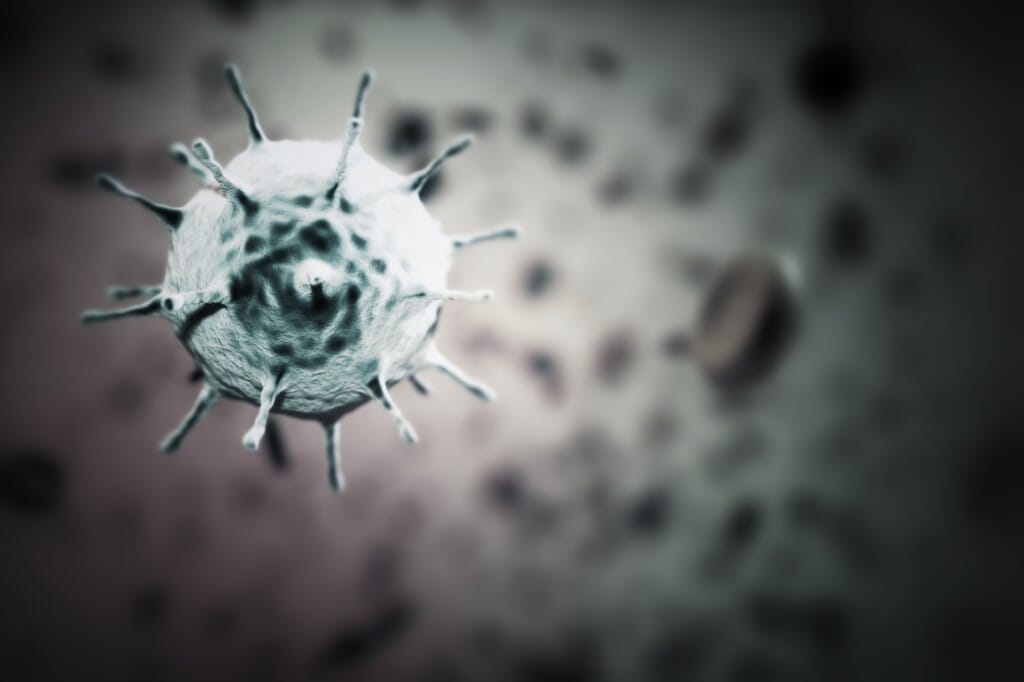 O Coronavirus e a segurança dos alimentos