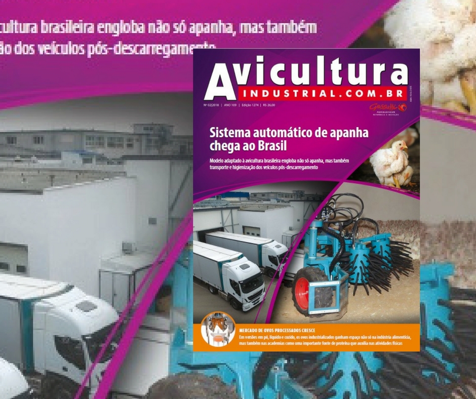 Industrialização nos ovos e apanha automática de frangos