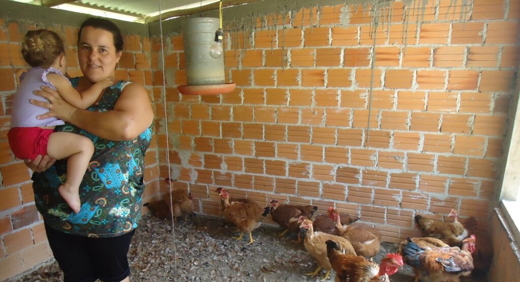 Produção de frangos e ovos gera renda para famílias em situação de vulnerabilidade