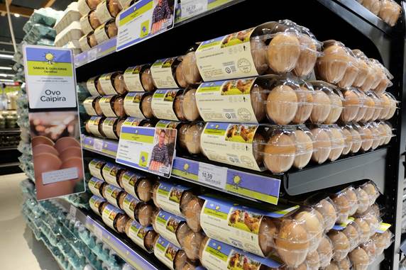 Carrefour passará a vender apenas ovos de galinhas livres de gaiolas