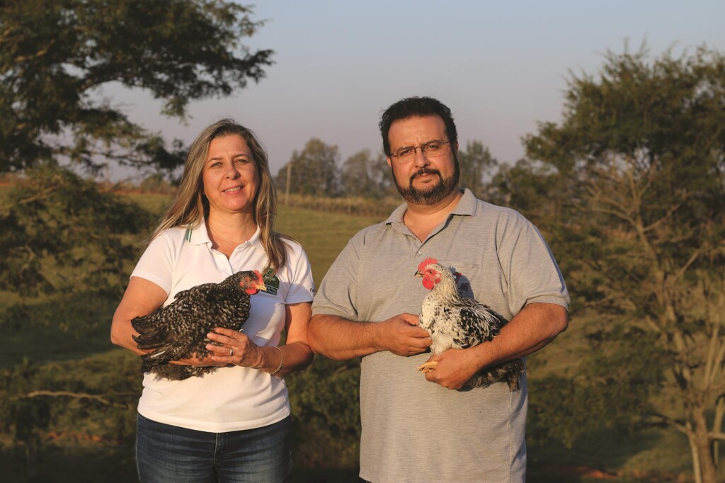 Produtor expande para o varejo e cresce 20% com venda de frango caipira