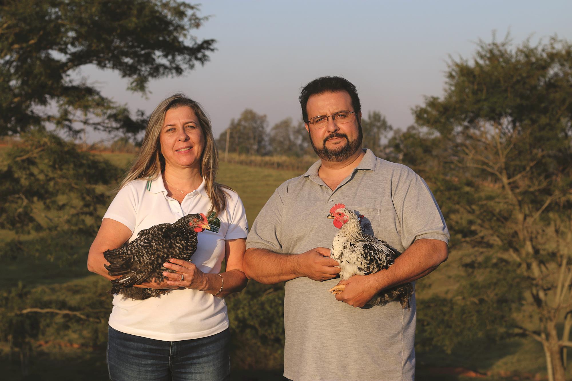 Produtor expande para o varejo e cresce 20% com venda de frango caipira Produtor expande para o varejo e cresce 20% com venda de frango caipira