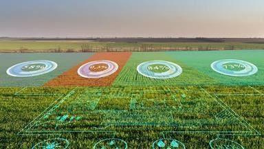 Portaria institui Programa AgroHub Brasil