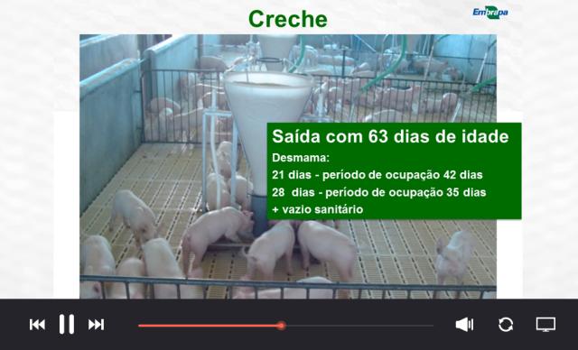 Planejamento da produção de suínos em lotes com vazio sanitário