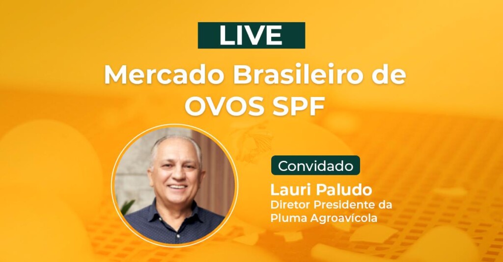 É HOJE: Na TV Gessulli, diretor presidente da Pluma Agroavícola debate o mercado brasileiro de ovos férteis
