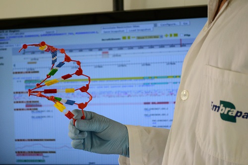 Embrapa promove capacitações em bioinformática