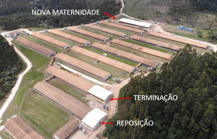 Castrolanda inaugura nova maternidade de suínos