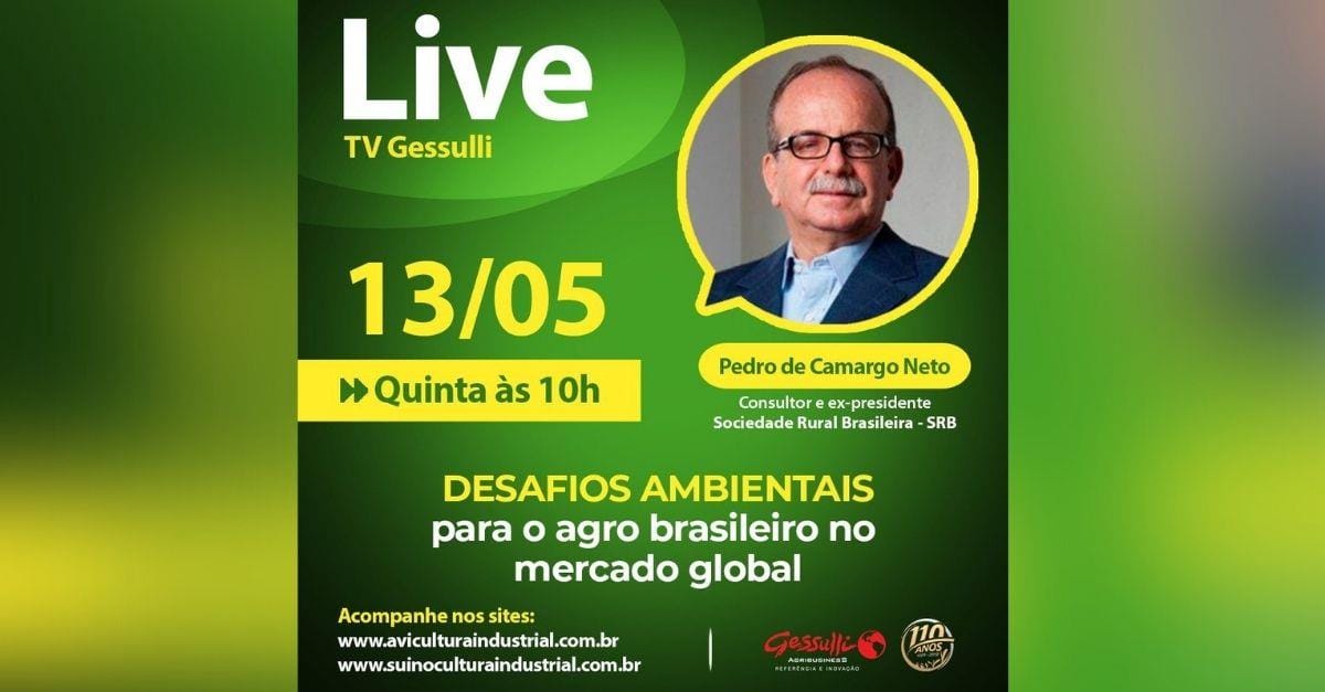 Live: Desafios ambientais para o agro brasileiro no mercado global, com consultor Pedro de Camargo Neto