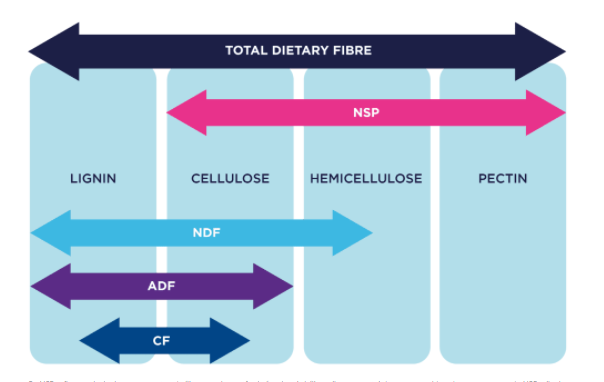 AB Vista lança calculadora de fibra dietética online para ajudar nutricionistas a otimizar as dietas dos animais