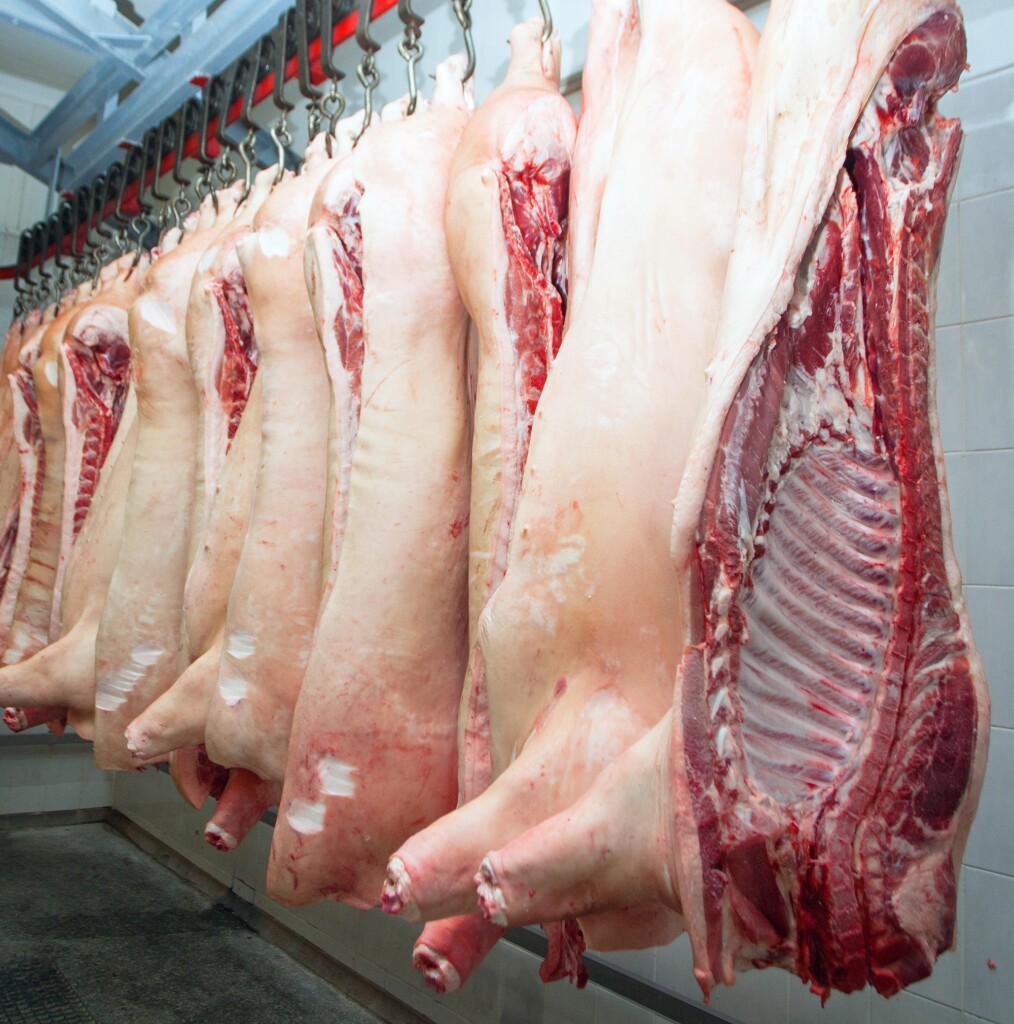 Comer do nariz à cauda: tudo que você precisa saber