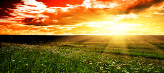 Centro-Oeste vira rota internacional do agronegócio