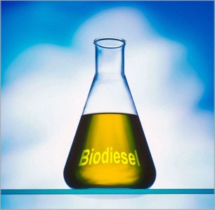 Biodiesel diminui emissões de gases – por Ricardo Ernesto Rose