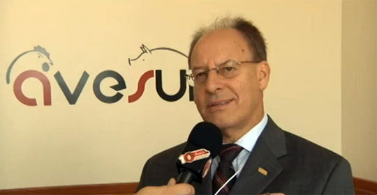 Dirceu Talamini, chefe-geral da Embrapa suínos e aves