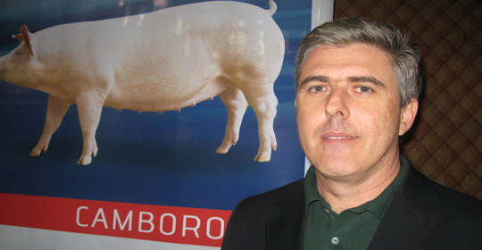 Alexandre Furtado da Rosa, diretor Superintendente da Agroceres PIC