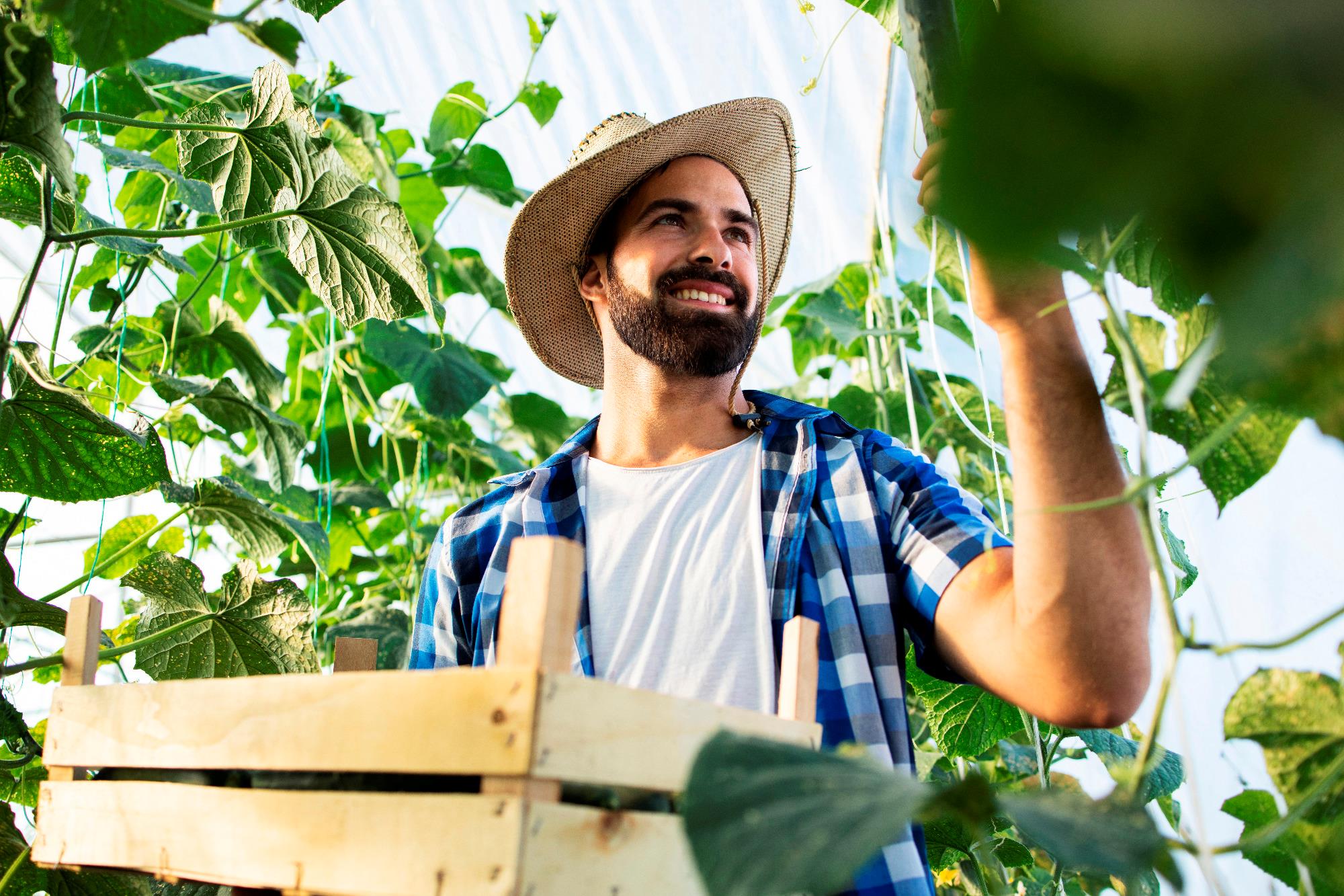 População ocupada no agro alcança recorde de 28,3 milhões em 2023